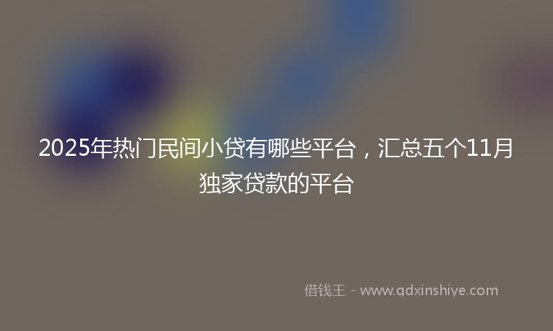 2025年热门民间小贷有哪些平台，汇总五个11月独家贷款的平台