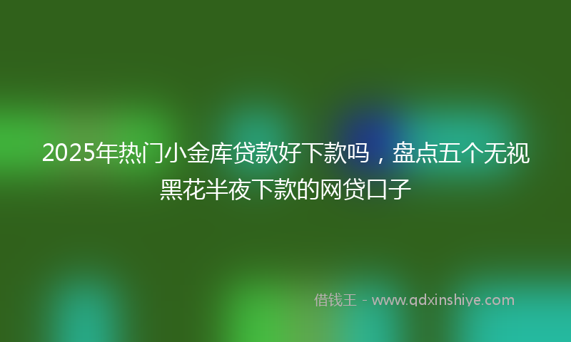 2025年热门小金库贷款好下款吗，盘点五个无视黑花半夜下款的网贷口子