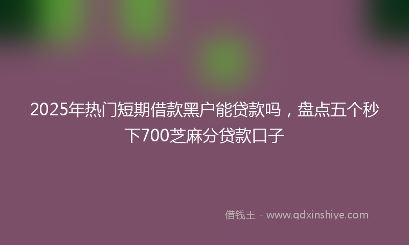 2025年热门短期借款黑户能贷款吗，盘点五个秒下700芝麻分贷款口子