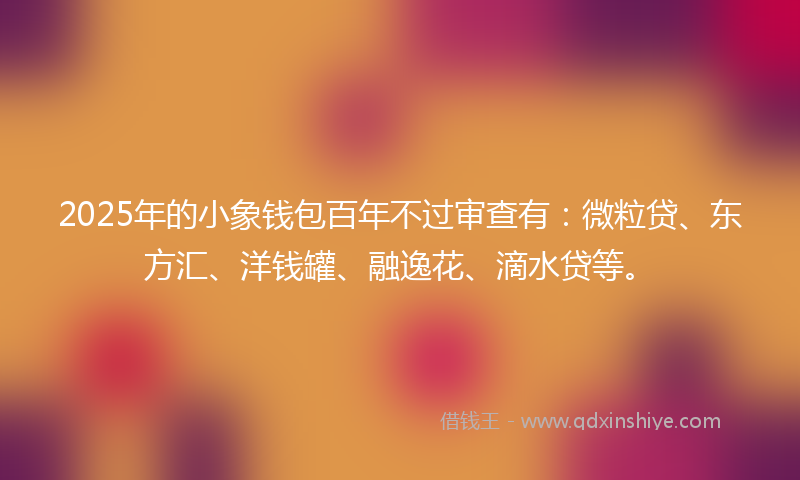 2025年的小象钱包百年不过审查有：微粒贷、东方汇、洋钱罐、融逸花、滴水贷等。