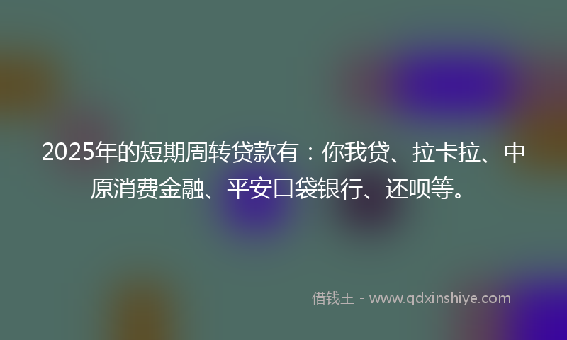 2025年的短期周转贷款有：你我贷、拉卡拉、中原消费金融、平安口袋银行、还呗等。