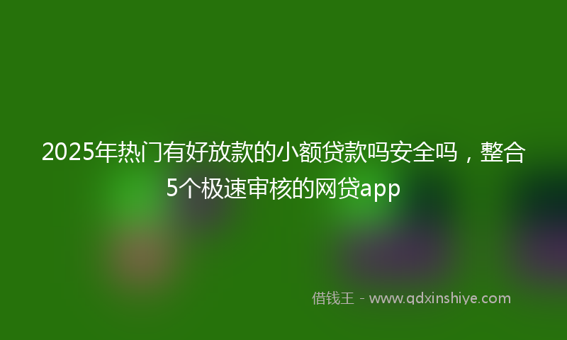 2025年热门有好放款的小额贷款吗安全吗，整合5个极速审核的网贷app