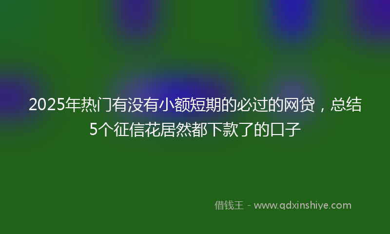 2025年热门有没有小额短期的必过的网贷，总结5个征信花居然都下款了的口子