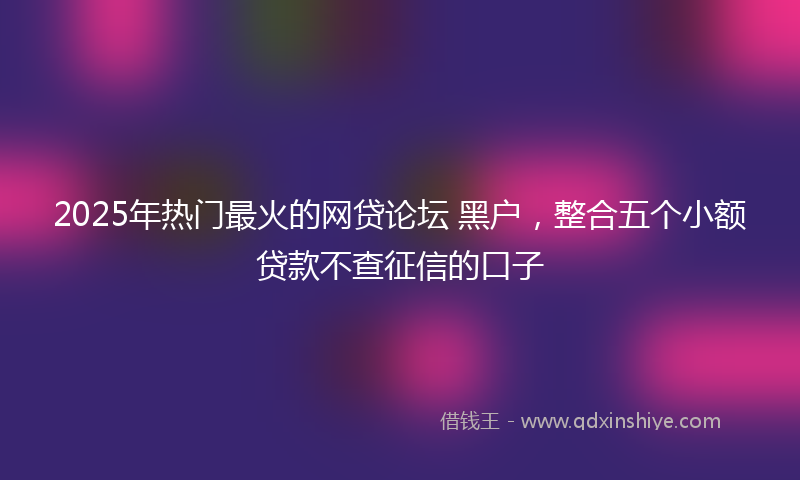 2025年热门最火的网贷论坛 黑户，整合五个小额贷款不查征信的口子