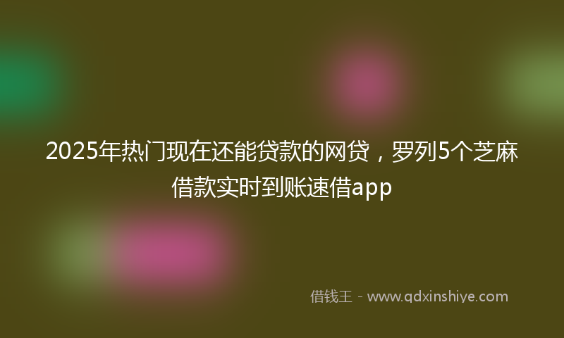2025年热门现在还能贷款的网贷，罗列5个芝麻借款实时到账速借app