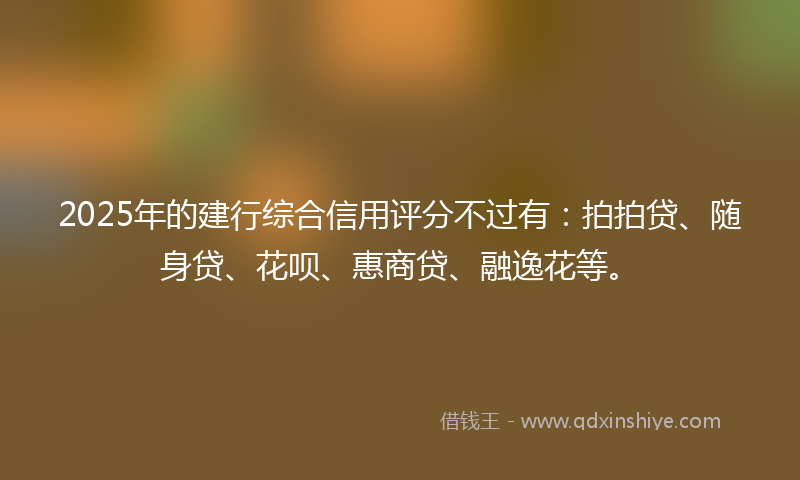 2025年的建行综合信用评分不过有：拍拍贷、随身贷、花呗、惠商贷、融逸花等。