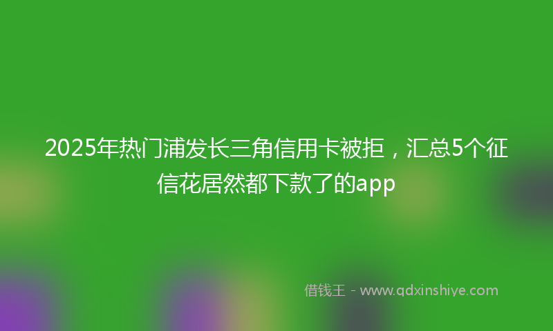 2025年热门浦发长三角信用卡被拒，汇总5个征信花居然都下款了的app