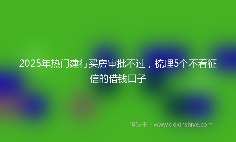 2025年热门建行买房审批不过，梳理5个不看征信的借钱口子