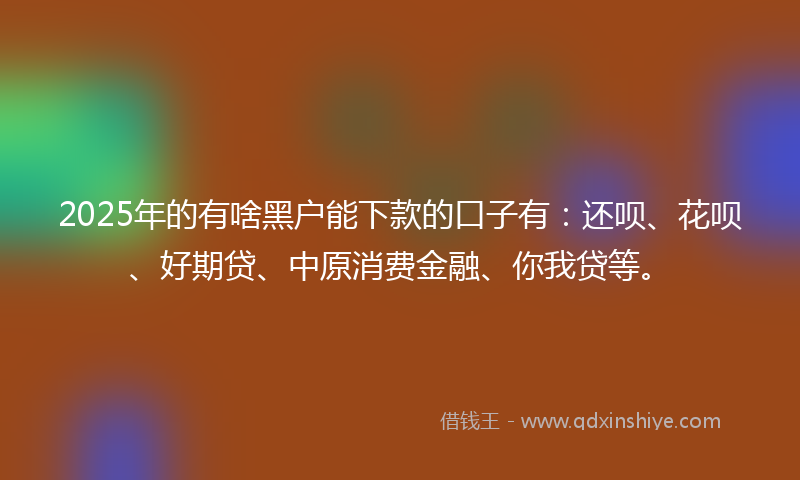 2025年的有啥黑户能下款的口子有：还呗、花呗、好期贷、中原消费金融、你我贷等。