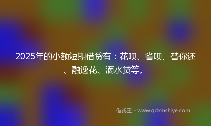2025年的小额短期借贷有：花呗、省呗、替你还、融逸花、滴水贷等。