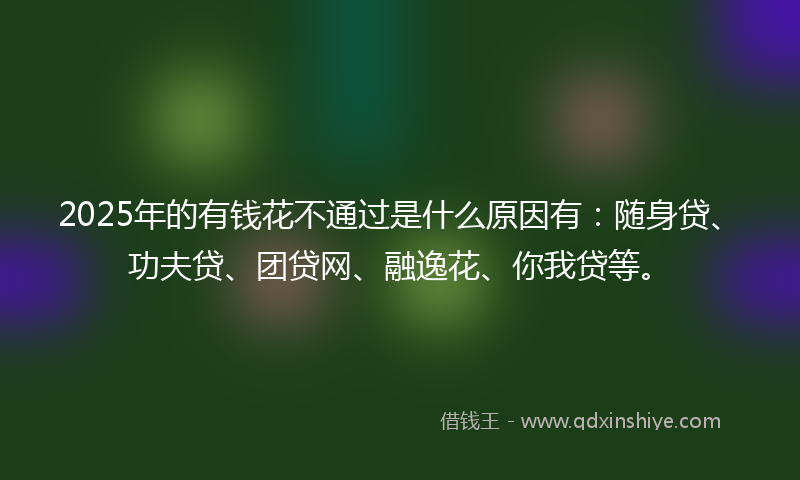 2025年的有钱花不通过是什么原因有：随身贷、功夫贷、团贷网、融逸花、你我贷等。
