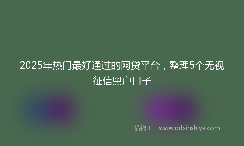 2025年热门最好通过的网贷平台，整理5个无视征信黑户口子