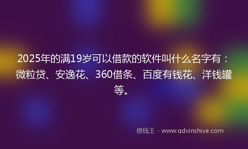 2025年的满19岁可以借款的软件叫什么名字有：微粒贷、安逸花、360借条、百度有钱花、洋钱罐等。