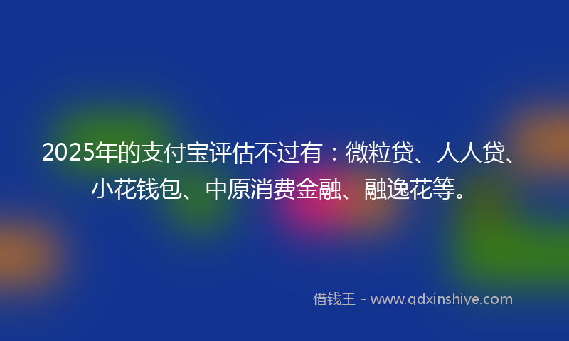 2025年的支付宝评估不过有：微粒贷、人人贷、小花钱包、中原消费金融、融逸花等。