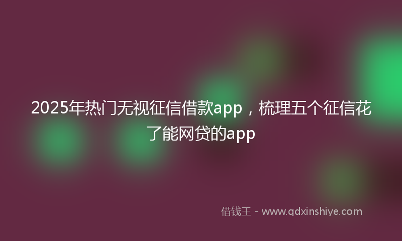 2025年热门无视征信借款app，梳理五个征信花了能网贷的app