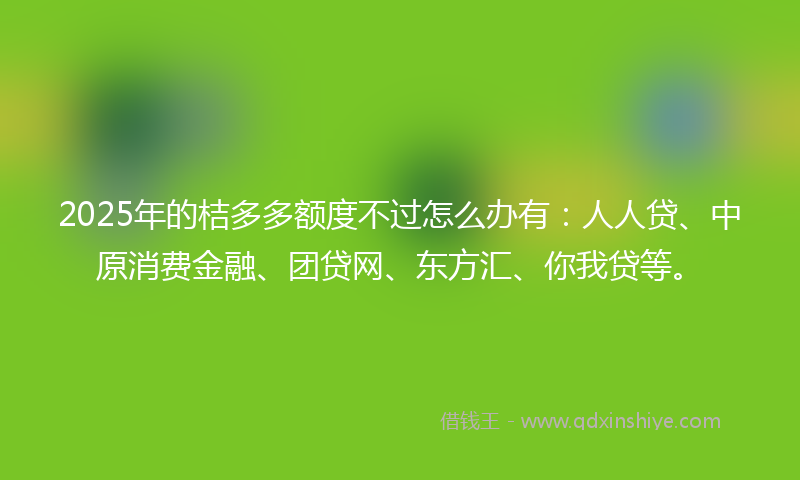 2025年的桔多多额度不过怎么办有：人人贷、中原消费金融、团贷网、东方汇、你我贷等。