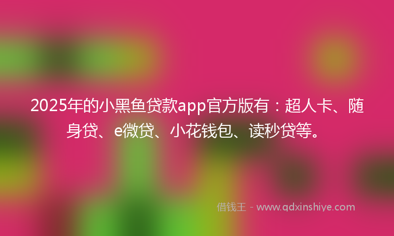2025年的小黑鱼贷款app官方版有：超人卡、随身贷、e微贷、小花钱包、读秒贷等。