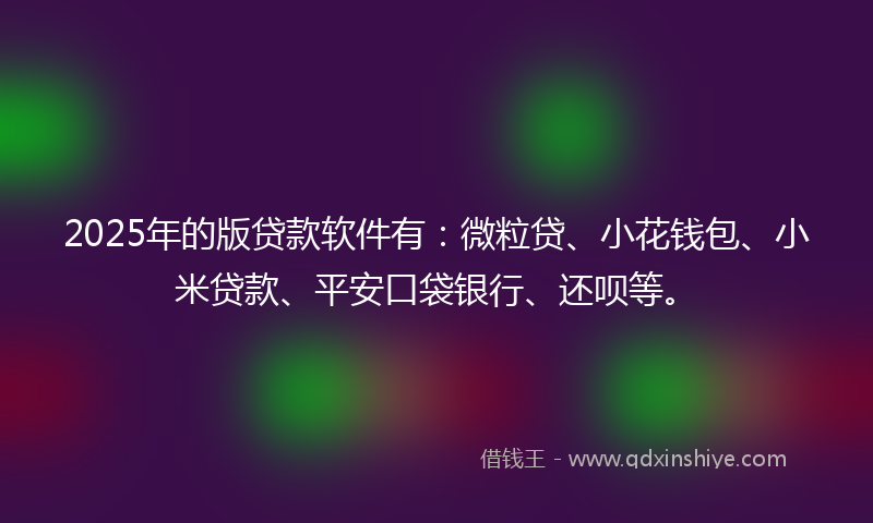 2025年的版贷款软件有：微粒贷、小花钱包、小米贷款、平安口袋银行、还呗等。