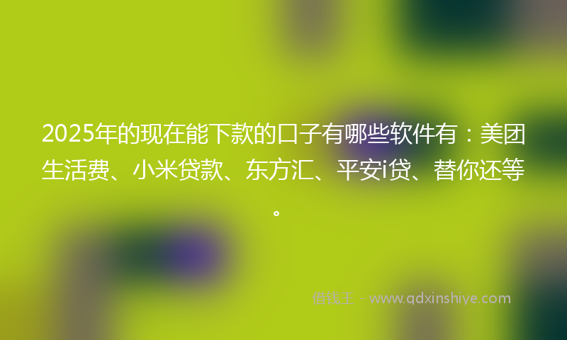 2025年的现在能下款的口子有哪些软件有：美团生活费、小米贷款、东方汇、平安i贷、替你还等。