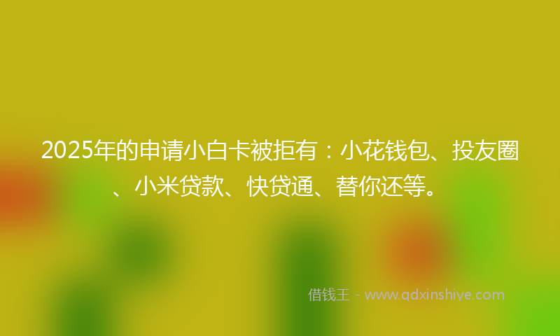 2025年的申请小白卡被拒有：小花钱包、投友圈、小米贷款、快贷通、替你还等。