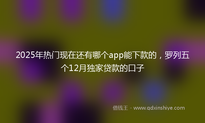 2025年热门现在还有哪个app能下款的，罗列五个12月独家贷款的口子