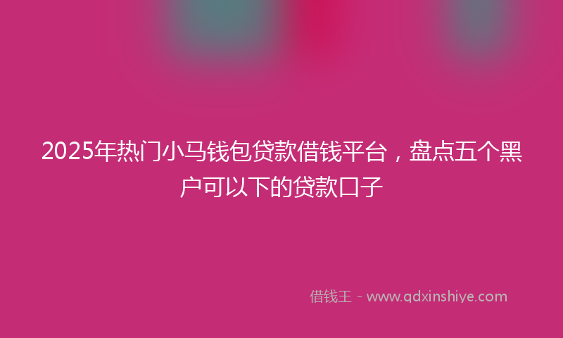 2025年热门小马钱包贷款借钱平台，盘点五个黑户可以下的贷款口子