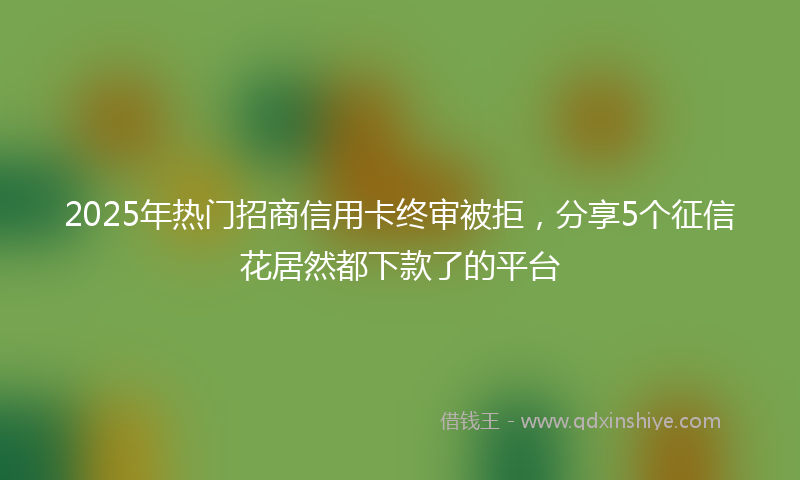 2025年热门招商信用卡终审被拒，分享5个征信花居然都下款了的平台
