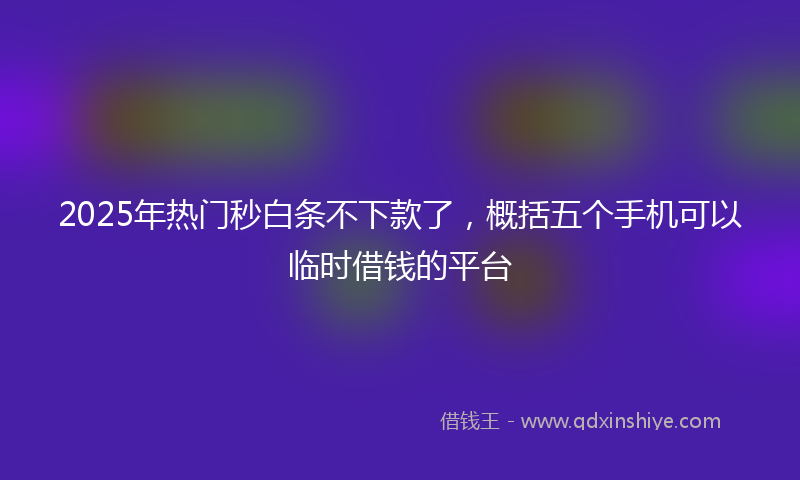 2025年热门秒白条不下款了，概括五个手机可以临时借钱的平台