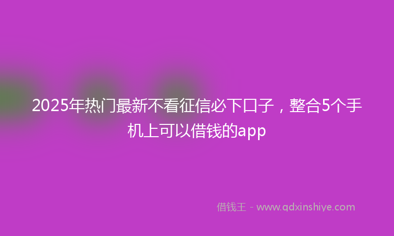 2025年热门最新不看征信必下口子，整合5个手机上可以借钱的app