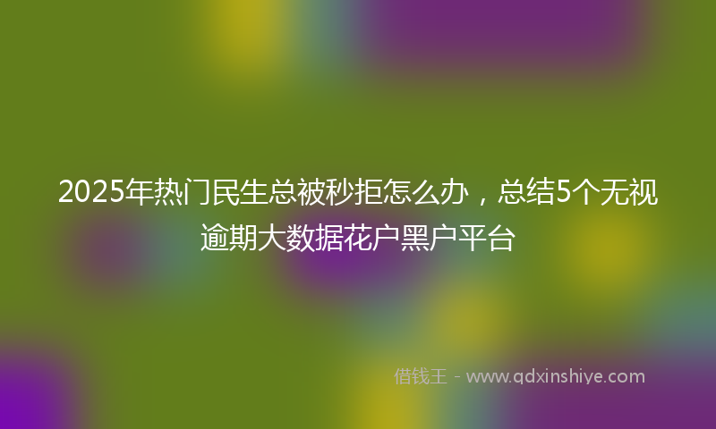 2025年热门民生总被秒拒怎么办，总结5个无视逾期大数据花户黑户平台