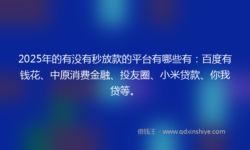 2025年的有没有秒放款的平台有哪些有：百度有钱花、中原消费金融、投友圈、小米贷款、你我贷等。