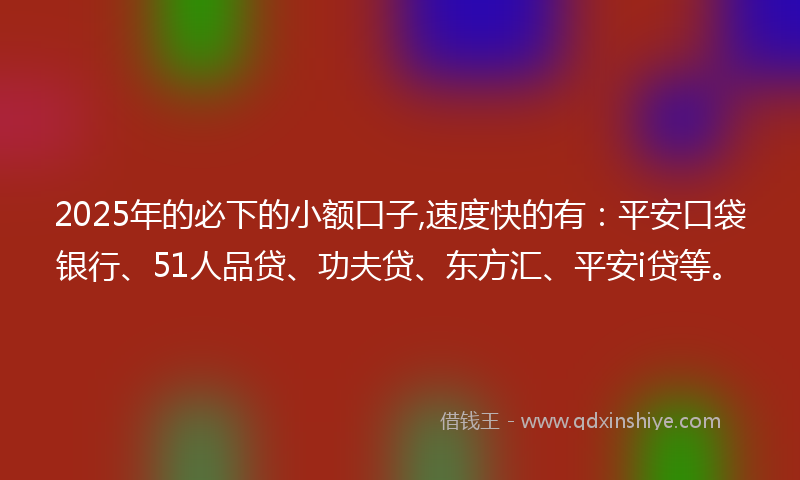 2025年的必下的小额口子,速度快的有：平安口袋银行、51人品贷、功夫贷、东方汇、平安i贷等。