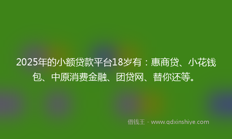 2025年的小额贷款平台18岁有：惠商贷、小花钱包、中原消费金融、团贷网、替你还等。