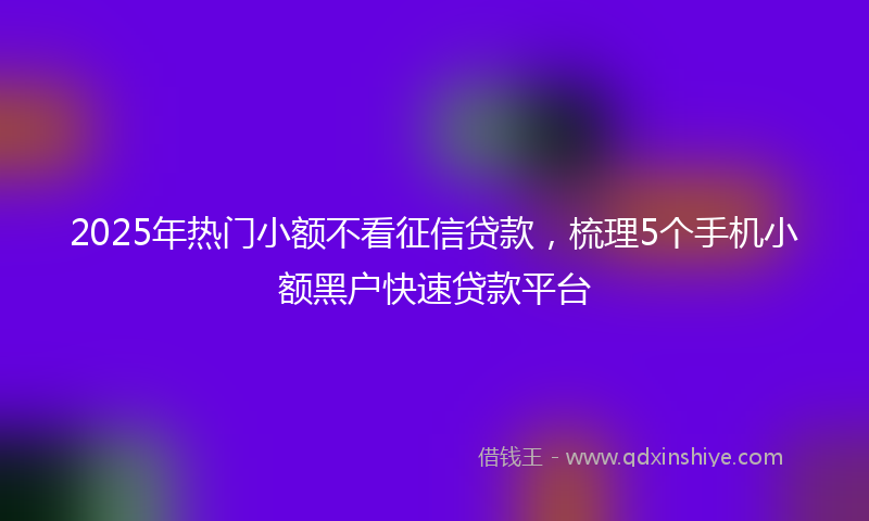2025年热门小额不看征信贷款，梳理5个手机小额黑户快速贷款平台