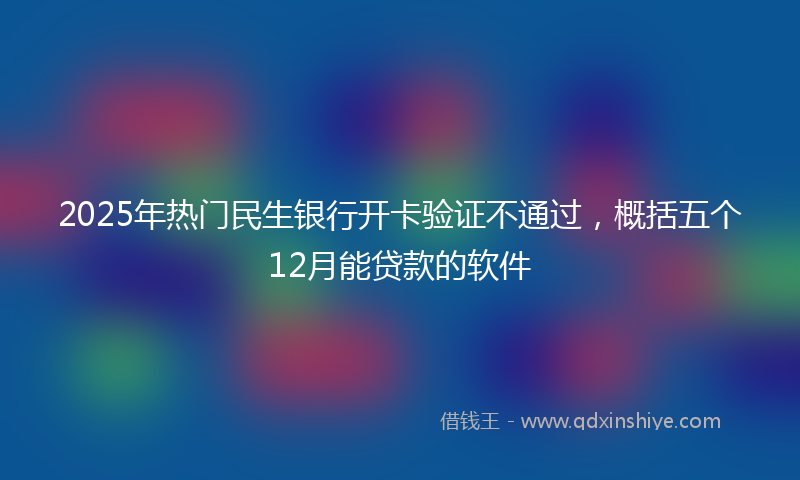 2025年热门民生银行开卡验证不通过，概括五个12月能贷款的软件