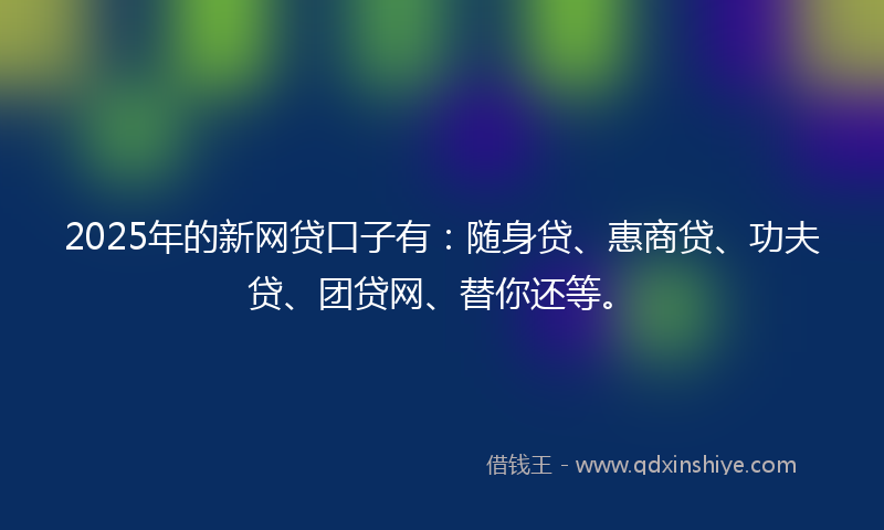 2025年的新网贷口子有：随身贷、惠商贷、功夫贷、团贷网、替你还等。