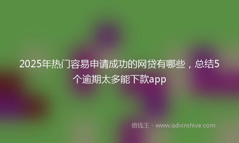 2025年热门容易申请成功的网贷有哪些，总结5个逾期太多能下款app
