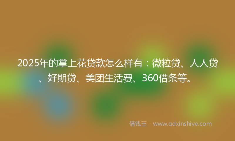 2025年的掌上花贷款怎么样有：微粒贷、人人贷、好期贷、美团生活费、360借条等。