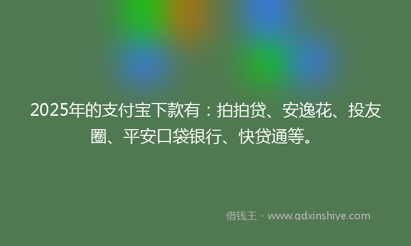 2025年的支付宝下款有：拍拍贷、安逸花、投友圈、平安口袋银行、快贷通等。