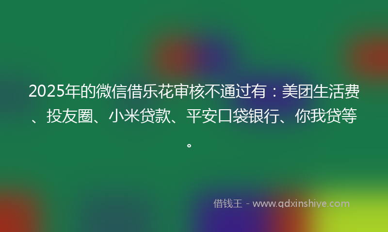 2025年的微信借乐花审核不通过有：美团生活费、投友圈、小米贷款、平安口袋银行、你我贷等。