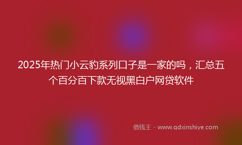 2025年热门小云豹系列口子是一家的吗，汇总五个百分百下款无视黑白户网贷软件