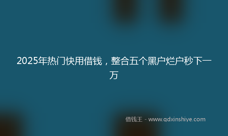 2025年热门快用借钱，整合五个黑户烂户秒下一万