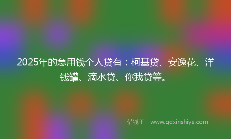 2025年的急用钱个人贷有：柯基贷、安逸花、洋钱罐、滴水贷、你我贷等。