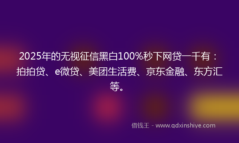 2025年的无视征信黑白100%秒下网贷一千有：拍拍贷、e微贷、美团生活费、京东金融、东方汇等。