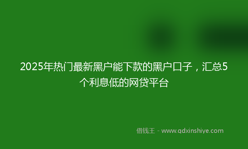 2025年热门最新黑户能下款的黑户口子，汇总5个利息低的网贷平台