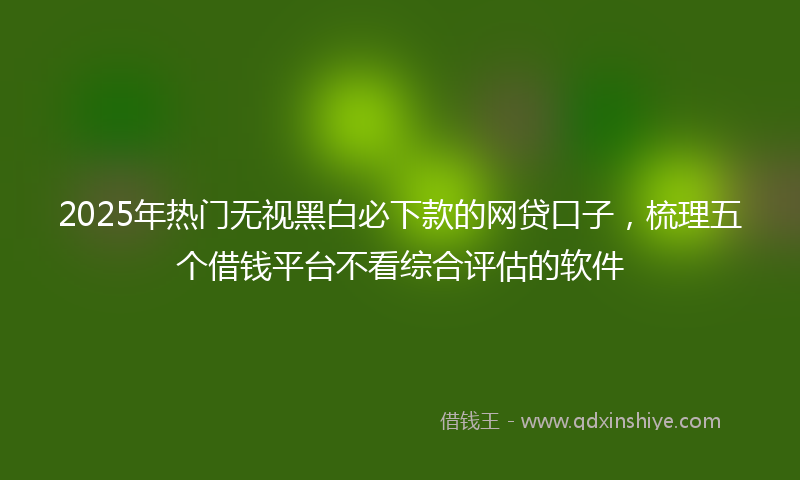 2025年热门无视黑白必下款的网贷口子，梳理五个借钱平台不看综合评估的软件