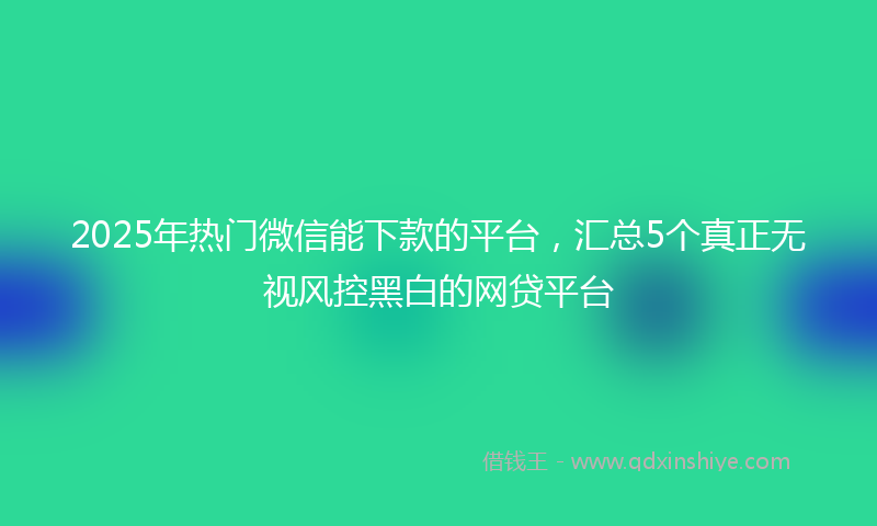 2025年热门微信能下款的平台，汇总5个真正无视风控黑白的网贷平台