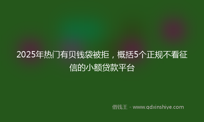 2025年热门有贝钱袋被拒，概括5个正规不看征信的小额贷款平台