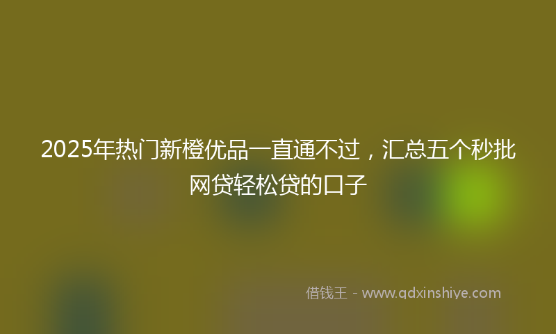 2025年热门新橙优品一直通不过，汇总五个秒批网贷轻松贷的口子