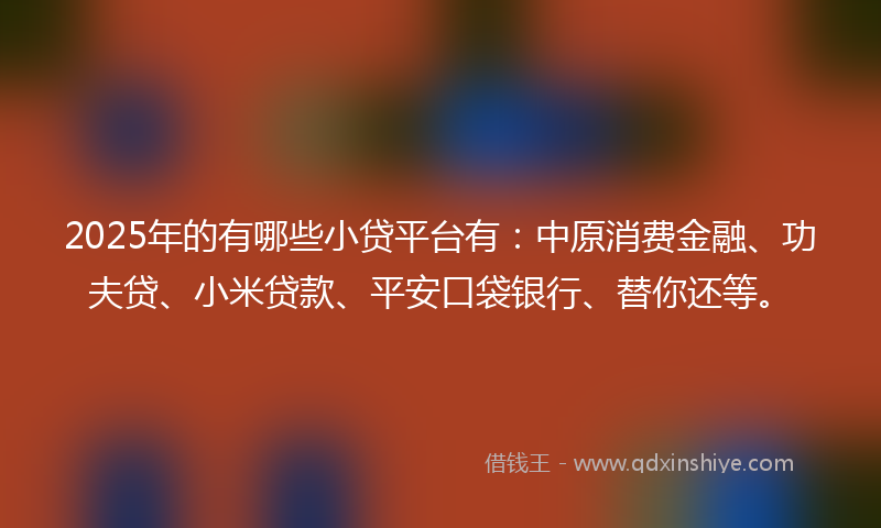 2025年的有哪些小贷平台有：中原消费金融、功夫贷、小米贷款、平安口袋银行、替你还等。